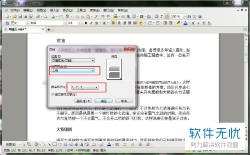 wps为什么加了页码都一样 第1张 wps为什么加了页码都一样 第1张