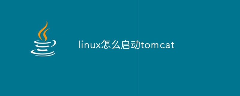 linux环境下如何启动tomcat 第2张 linux环境下如何启动tomcat 第2张