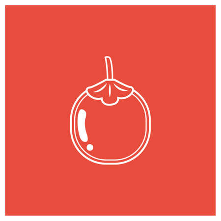 tomato动态域名怎么用,tomato动态域名 第1张 tomato动态域名怎么用,tomato动态域名 第1张