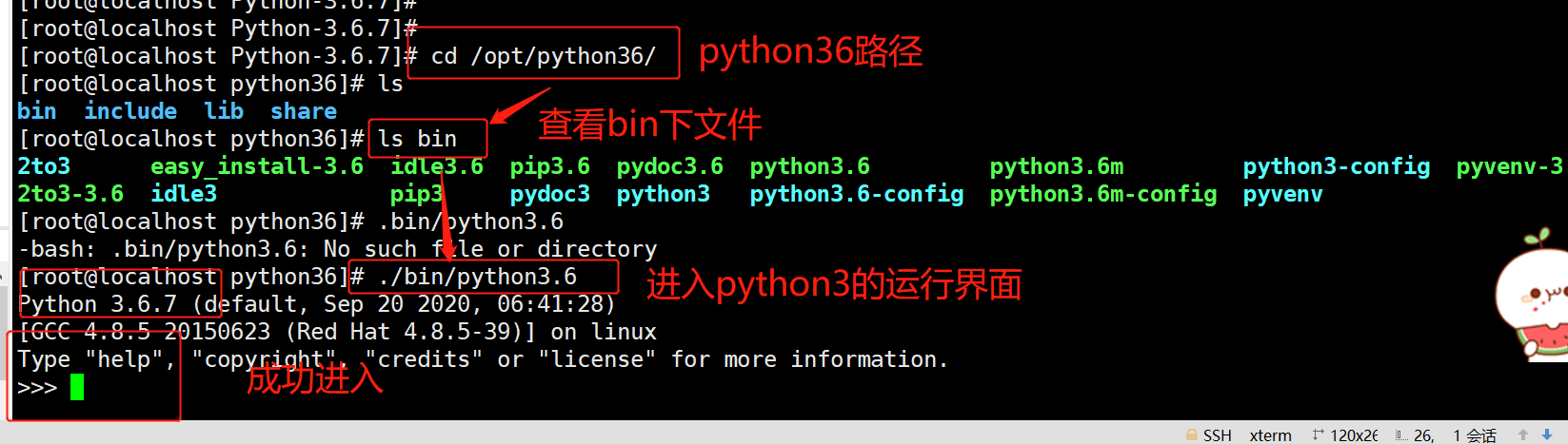 linux python 配置报错怎么办,linux 配置教程 第3张 linux python 配置报错怎么办,linux 配置教程 第3张