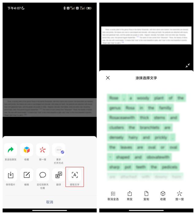 图片识别文字怎么读？手机拍照识别文字软件哪个好用