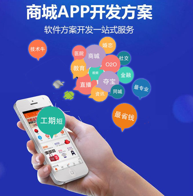 国内专业的深圳商城开发，深圳商城开发公司哪家好？