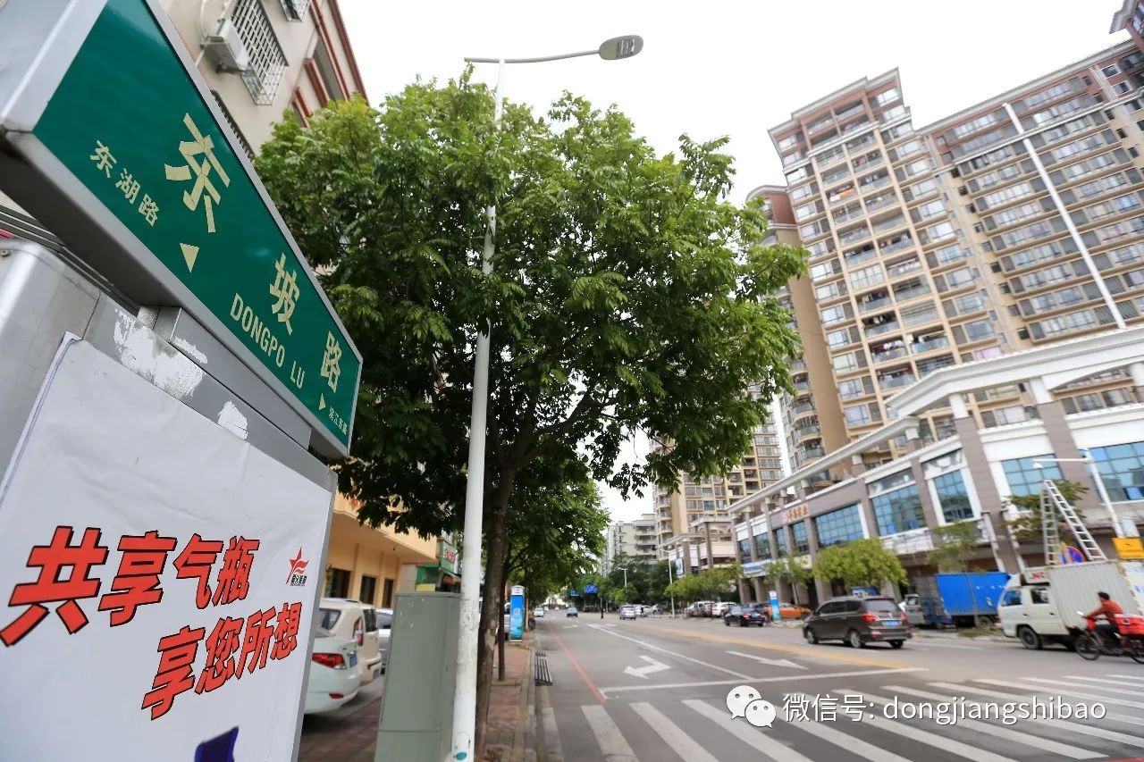 惠城区众多区域,究竟哪个地名最动听迷人? 第2张 惠城区众多区域,究竟哪个地名最动听迷人? 第2张
