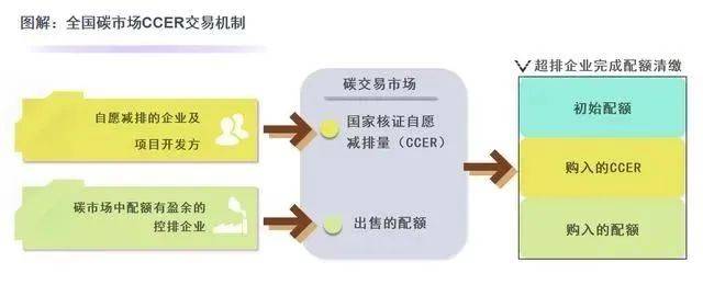 ee域名和cc域名究竟哪个更适合我的业务需求？两者有何优劣对比？ 第1张