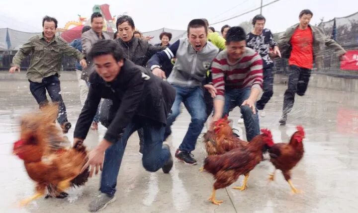 抓鸡为什么要用服务器 第3张 抓鸡为什么要用服务器 第3张