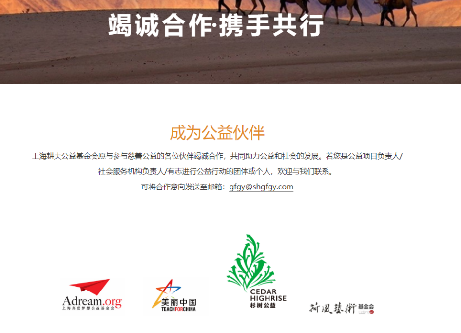 公益域名注册费用是多少?为何公益组织注册域名需额外支付? 第3张 公益域名注册费用是多少?为何公益组织注册域名需额外支付? 第3张