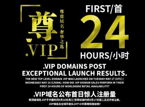 VIP域名究竟归属于哪家公司?揭秘其所有权之谜! 第1张 VIP域名究竟归属于哪家公司?揭秘其所有权之谜! 第1张