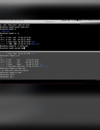 Linux命令窗口如何输入命令? 第2张 Linux命令窗口如何输入命令? 第2张