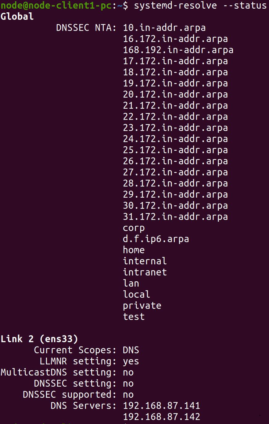 ubuntu 配置dns服务器 第1张 ubuntu 配置dns服务器 第1张