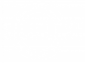 flexibrace 商标背后品牌故事及市场定位之谜,为何备受瞩目? 第1张 flexibrace 商标背后品牌故事及市场定位之谜,为何备受瞩目? 第1张
