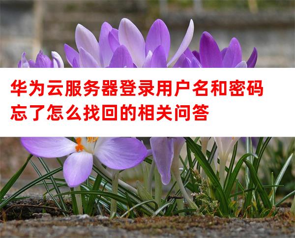 服务器忘记登陆密码 第2张 服务器忘记登陆密码 第2张