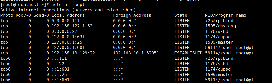 Linux如何查看网络连接?