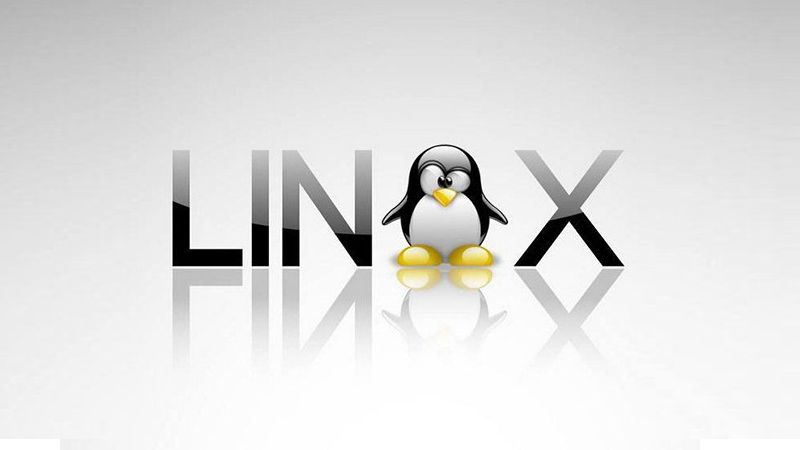如何使用linux观看视频教程 第1张 如何使用linux观看视频教程 第1张