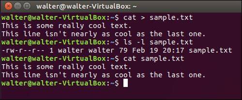 linux纯文本文件如何建立 第3张 linux纯文本文件如何建立 第3张