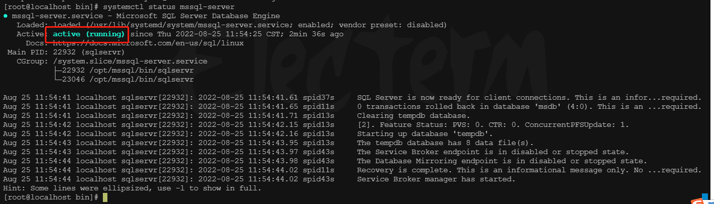 linux 如何启动x server