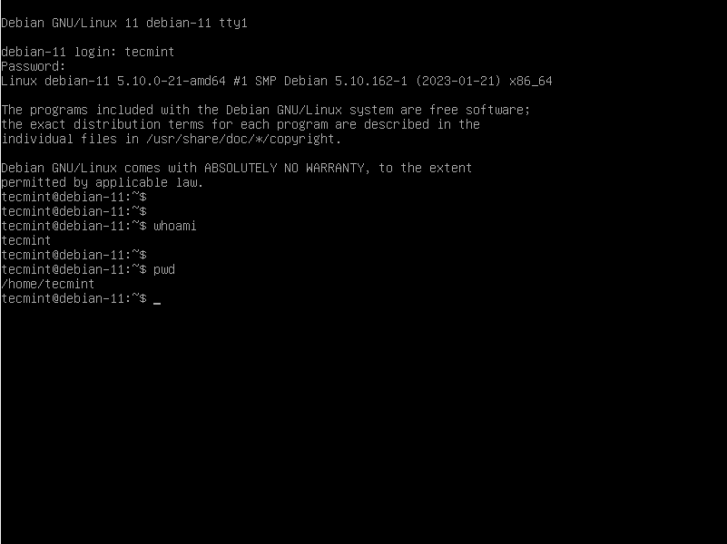 linux 如何启动x server
