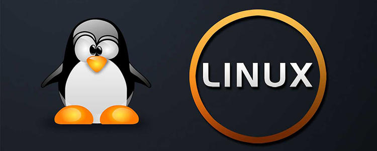 gnulinux命令行究竟有何神秘之处?30秒带你探索其奥秘! 第2张 gnulinux命令行究竟有何神秘之处?30秒带你探索其奥秘! 第2张