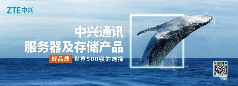 中兴服务器售后服务有哪些常见问题及解决方法? 第2张 中兴服务器售后服务有哪些常见问题及解决方法? 第2张