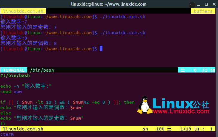 Linux创建脚本快速教程 第3张 Linux创建脚本快速教程 第3张