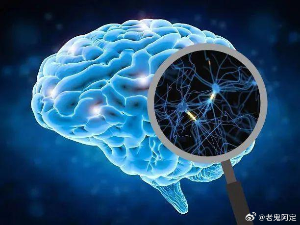 会影响大脑语言处理速度吗?大脑语言处理速度变慢怎么办 第1张 会影响大脑语言处理速度吗?大脑语言处理速度变慢怎么办 第1张
