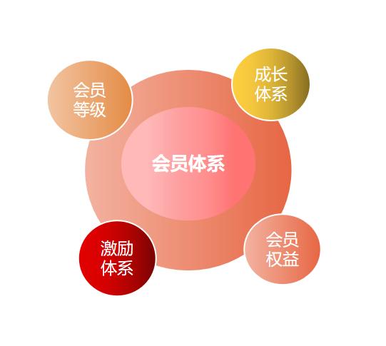AI怎么做会员体系设计,AI会员体系搭建方法 第3张 AI怎么做会员体系设计,AI会员体系搭建方法 第3张