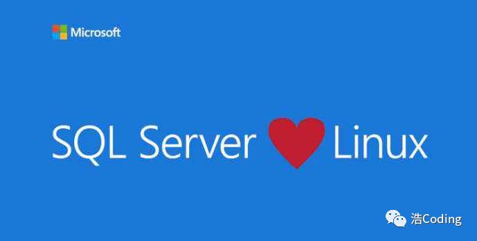 linux 如何执行sql 第3张 linux 如何执行sql 第3张