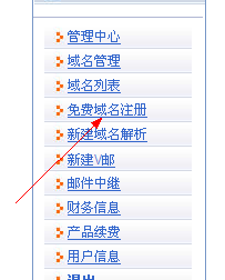 新网怎么设置二级域名，新网二级域名设置教程