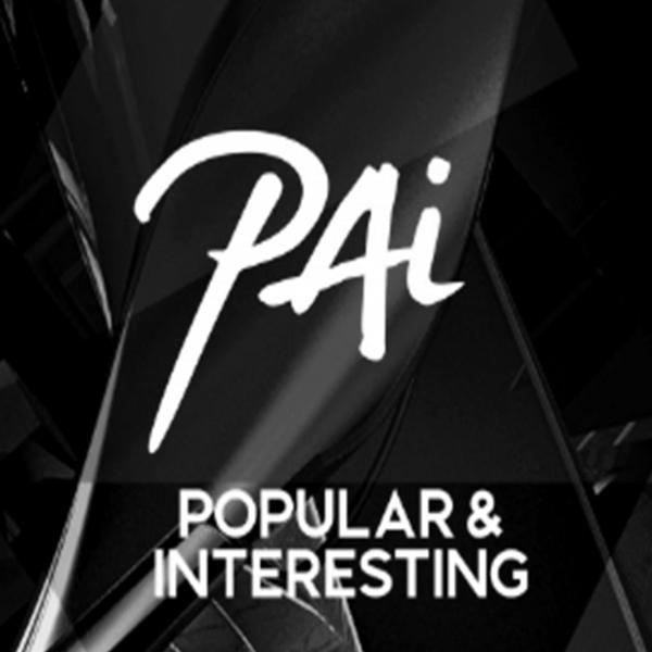 PAI好不好 第2张 PAI好不好 第2张