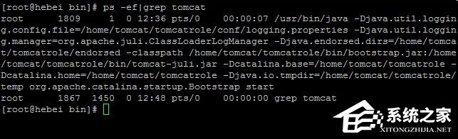 Linux系统状态怎样查看? 第3张 Linux系统状态怎样查看? 第3张