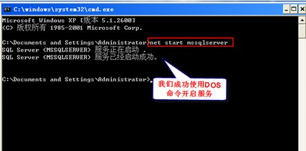 服务器数据库启动命令是什么？详细步骤和注意事项有哪些？ 第2张