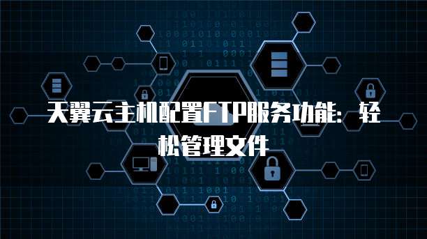 如何设置云虚拟主机中的FTP账号及权限管理技巧? 第1张 如何设置云虚拟主机中的FTP账号及权限管理技巧? 第1张