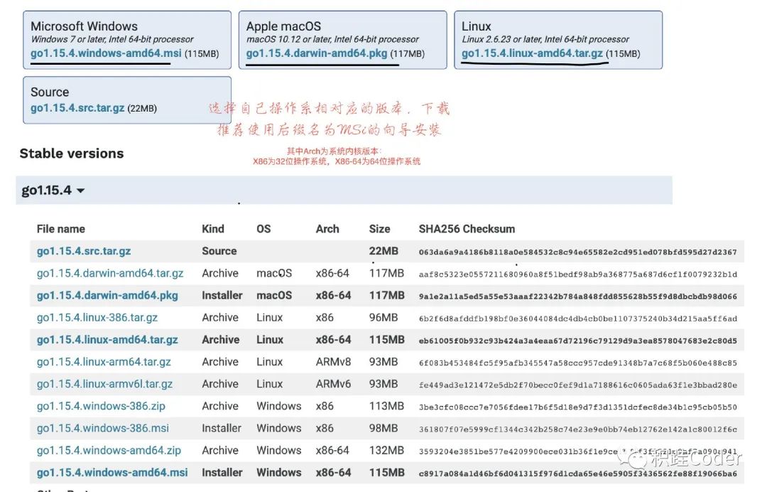 golang开发环境如何配置最优化?30字以内疑问长尾标题,Golang开发环境搭建,关键步骤与优化技巧有哪些? 第3张 golang开发环境如何配置最优化?30字以内疑问长尾标题,Golang开发环境搭建,关键步骤与优化技巧有哪些? 第3张
