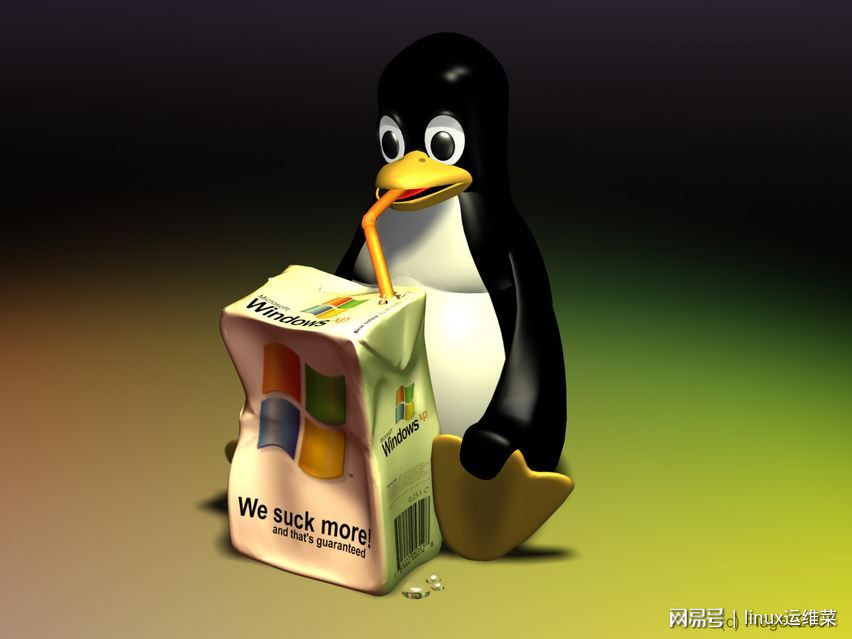 grub作为Linux启动管理器,究竟是不是Linux系统自带的? 第3张 grub作为Linux启动管理器,究竟是不是Linux系统自带的? 第3张