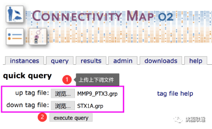 给VPS添加域名怎么操作?vps绑定域名详细教程 第2张 给VPS添加域名怎么操作?vps绑定域名详细教程 第2张