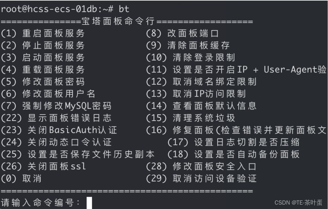 如何快速访问宝塔命令面板? 第2张 如何快速访问宝塔命令面板? 第2张