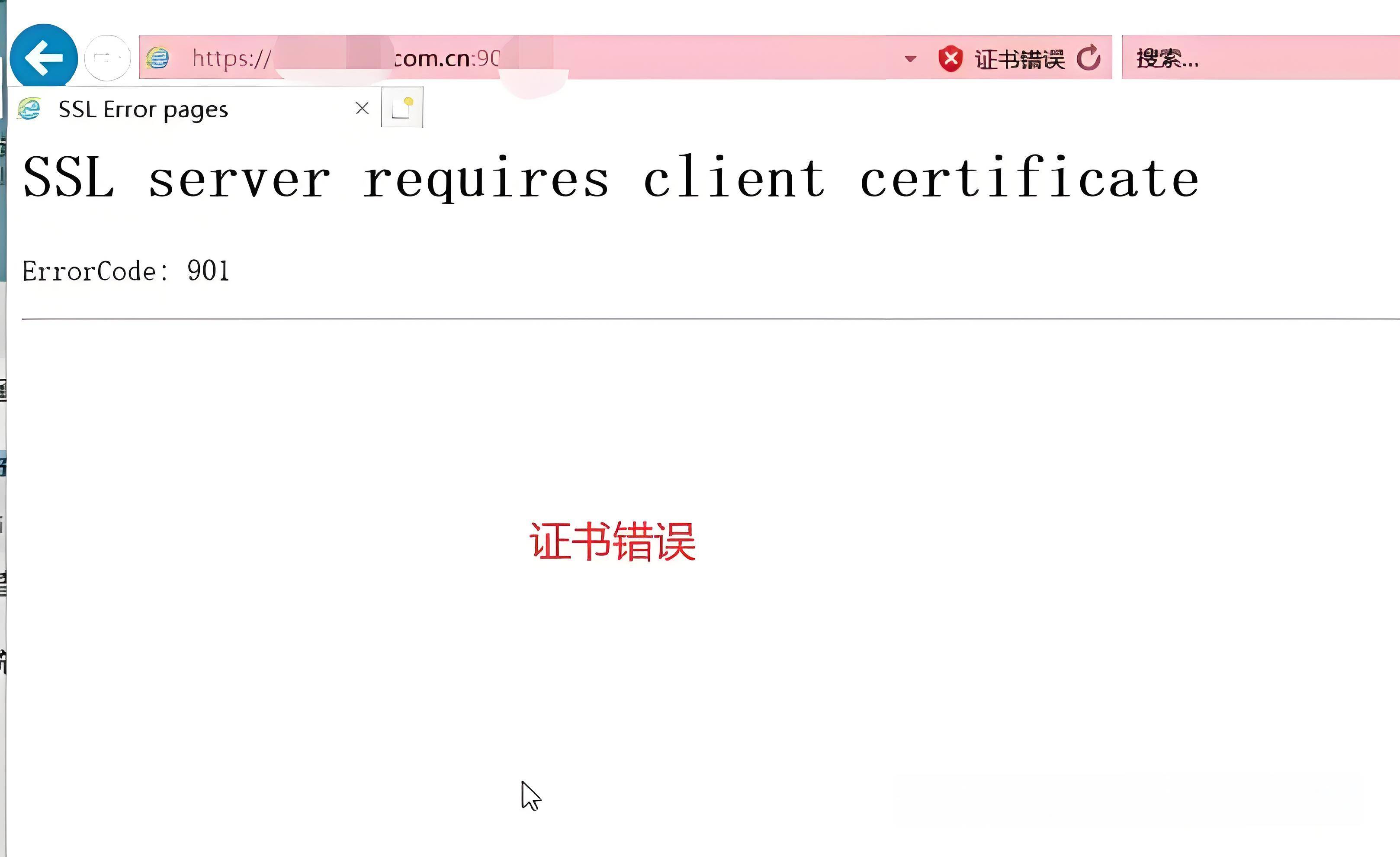 安卓SSL证书生成过程中,有哪些常见问题及解决方法? 第3张 安卓SSL证书生成过程中,有哪些常见问题及解决方法? 第3张