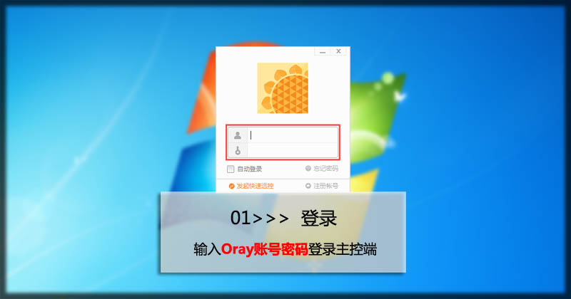 向日葵远程控制虚拟主机