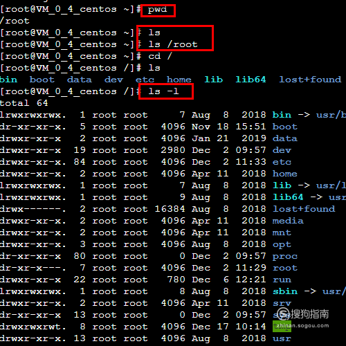 Linux命令怎么输入? 第1张 Linux命令怎么输入? 第1张