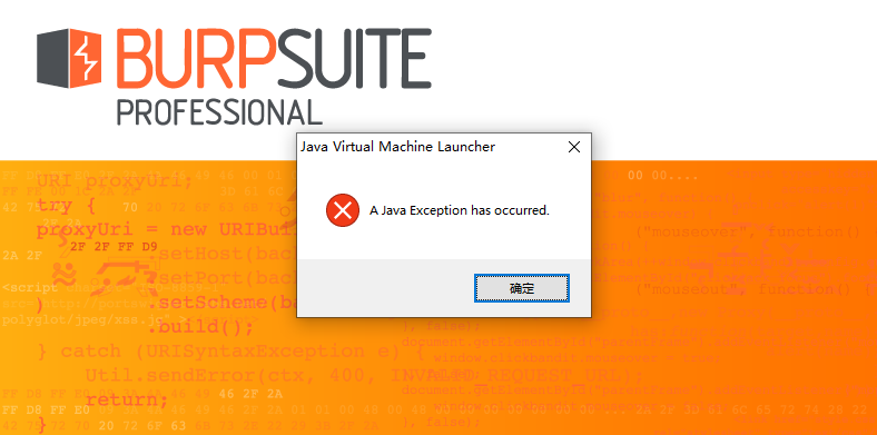 java怎么打开burp 第2张 java怎么打开burp 第2张