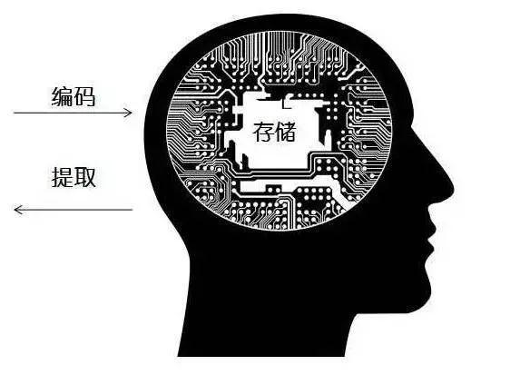 反复刷新的存储器为,是大脑的短期记忆库,还是长期记忆的关键? 第3张 反复刷新的存储器为,是大脑的短期记忆库,还是长期记忆的关键? 第3张