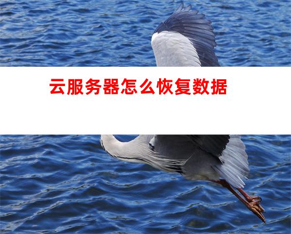 服务器释放了还能找回吗,云服务器释放后数据怎么恢复 第3张 服务器释放了还能找回吗,云服务器释放后数据怎么恢复 第3张
