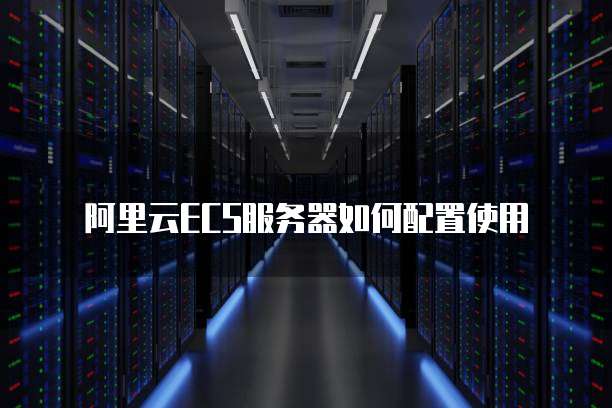 阿里云虚拟主机和ecs哪个好