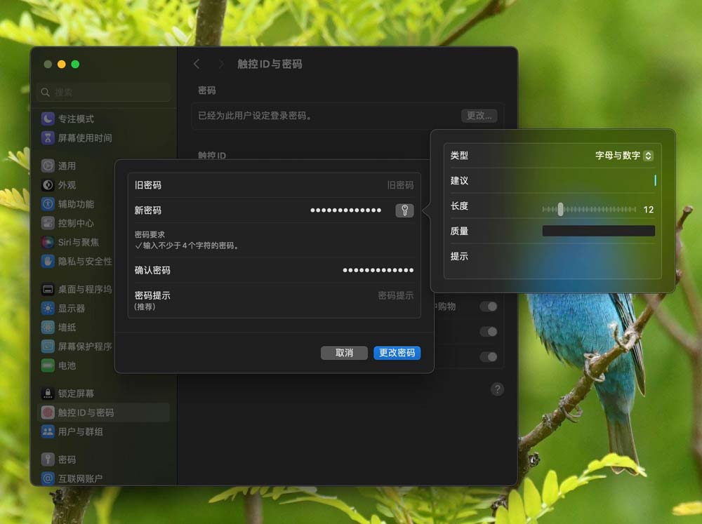 mac 设置数据库密码怎么设置