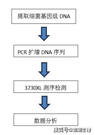 分析视频DNA揭秘,如何通过视频内容精准识别和解读信息? 第3张 分析视频DNA揭秘,如何通过视频内容精准识别和解读信息? 第3张