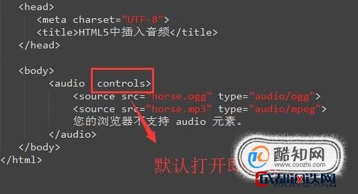 html上的音频如何下载工具 第1张 html上的音频如何下载工具 第1张