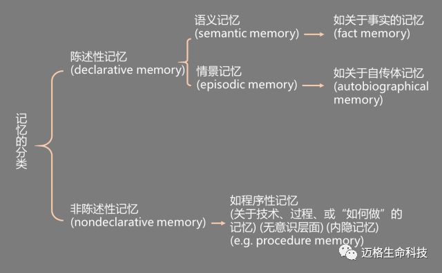 向量记忆Vector Memory是什么,向量记忆原理 第3张 向量记忆Vector Memory是什么,向量记忆原理 第3张