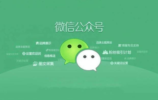 2020年为什么qq公众号搜不到 第3张 2020年为什么qq公众号搜不到 第3张
