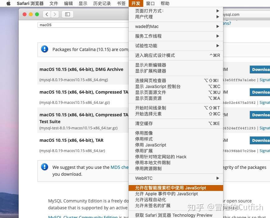 苹果浏览器怎么开javascript