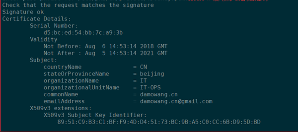Linux下CA服务器搭建步骤详解,有哪些常见问题需要注意? 第2张 Linux下CA服务器搭建步骤详解,有哪些常见问题需要注意? 第2张