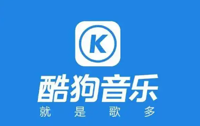 酷狗大字版为何在播放时缺失歌词显示功能?原因揭秘 第1张 酷狗大字版为何在播放时缺失歌词显示功能?原因揭秘 第1张